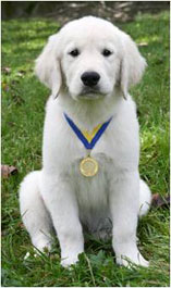 Champion Puppy!