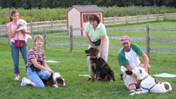 dog trainig class outside