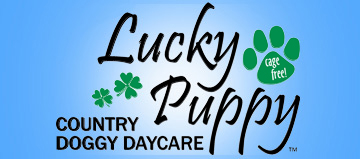 Lucky Puppy Country Doggy Daycare